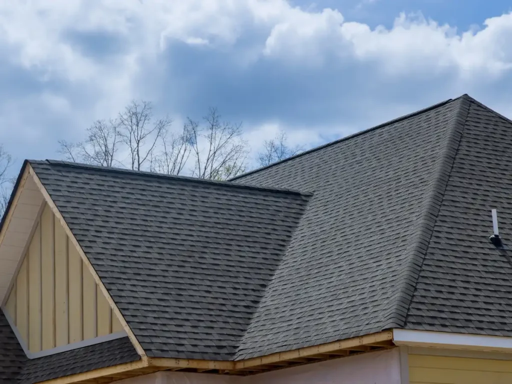 shingles roof