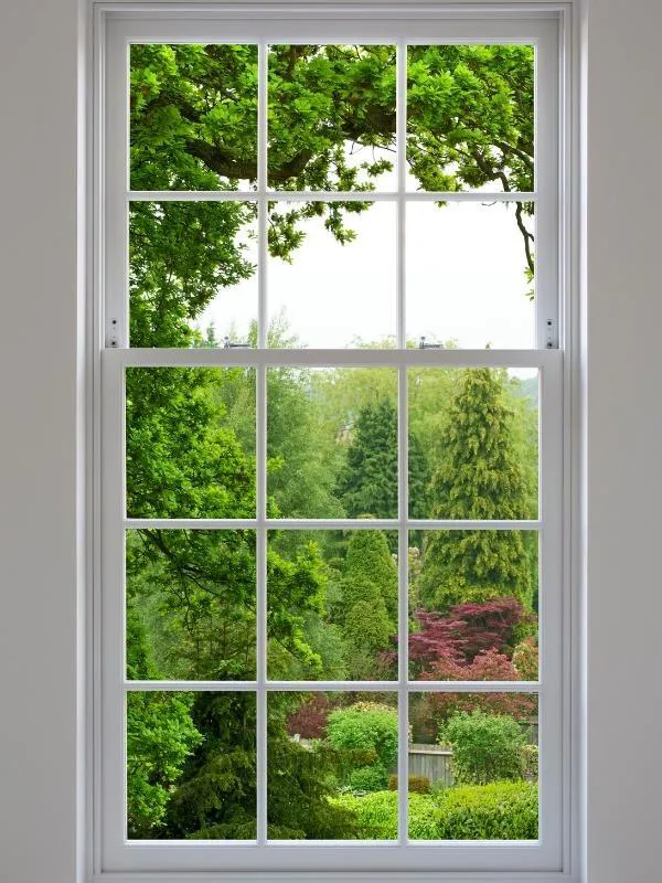 Glass and Energy-Efficiency Options