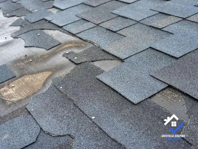 Missing, Curled, or Cracked Roof Shingles